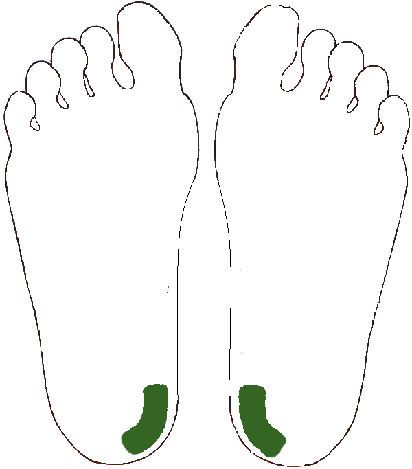 Gerinc kiegészítő