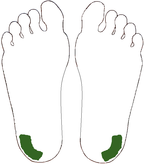 Izületkiegészítő zóna