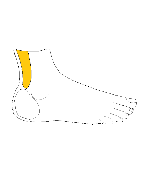 Altest fellazítása