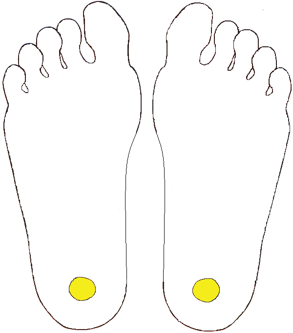 Ivarmirigyek kiegészítő zóna