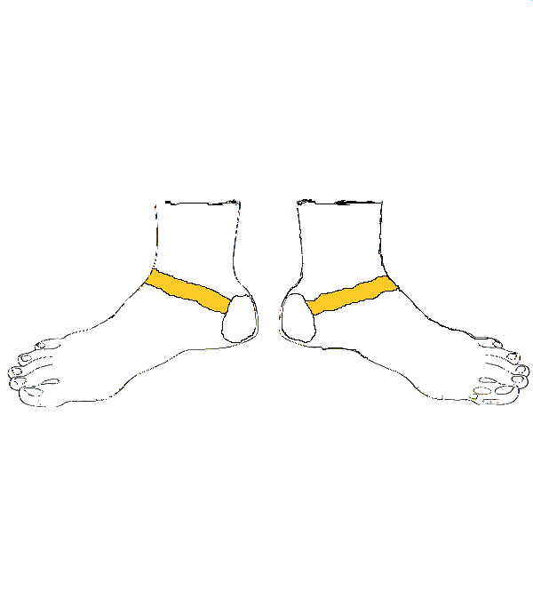 Petevezeték, ondóvezeték