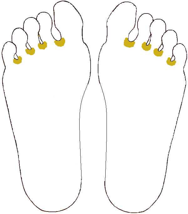 A fej nyirokterülete