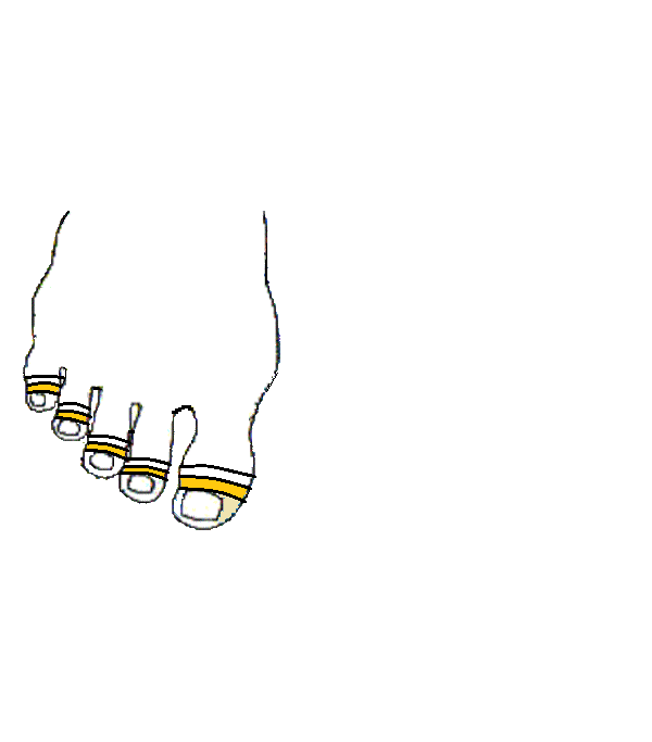 Felső állcsont. Jobb lábfej