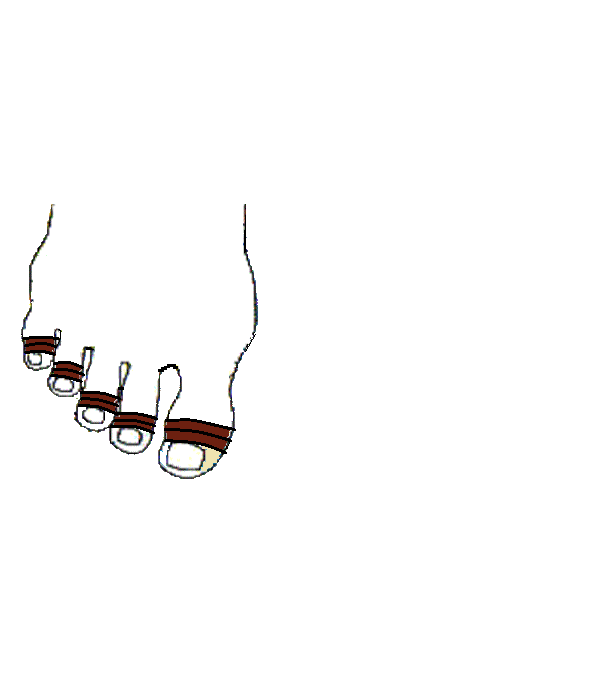 Fogak, Fogidegek. Jobb lábfej