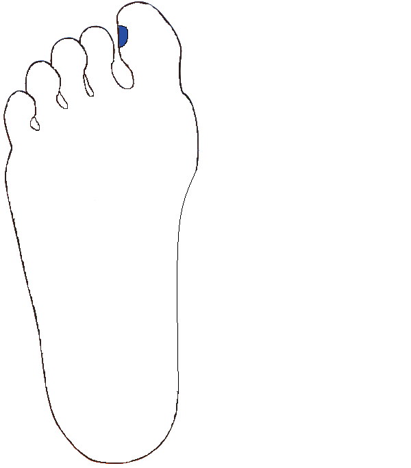 Halánték. Jobb talp