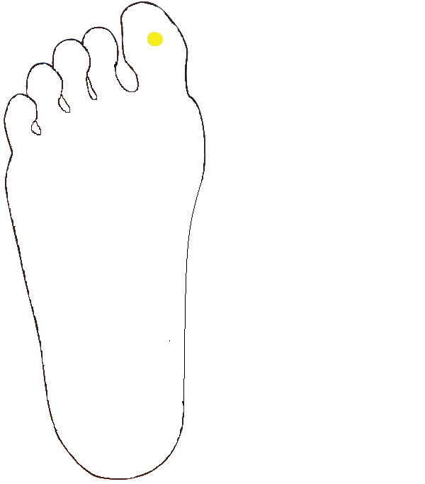 Hipofízis. Jobb talp