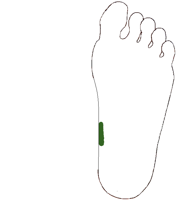 Ágyékcsigolyák. Bal talp