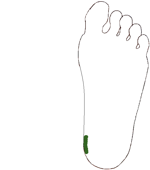 Keresztcsont. Bal talp