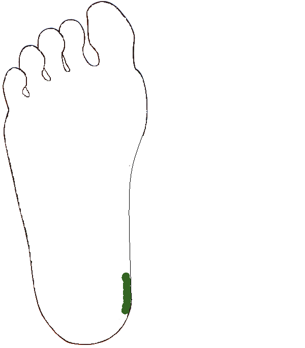 Keresztcsont. Jobb talp