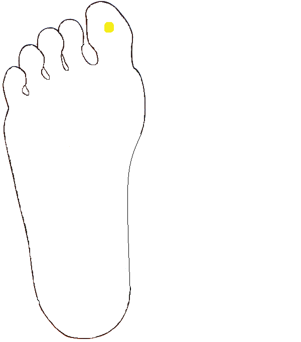 Hipofízis. Jobb talp