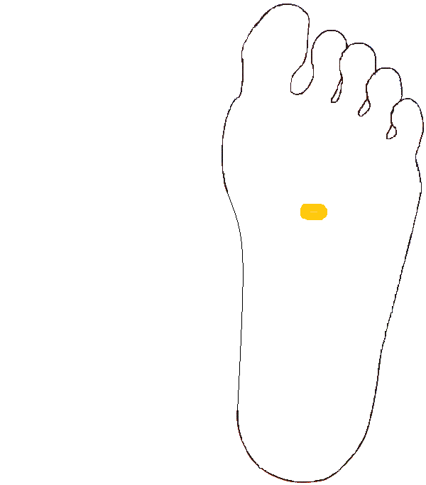 Mellékvese. Bal talp