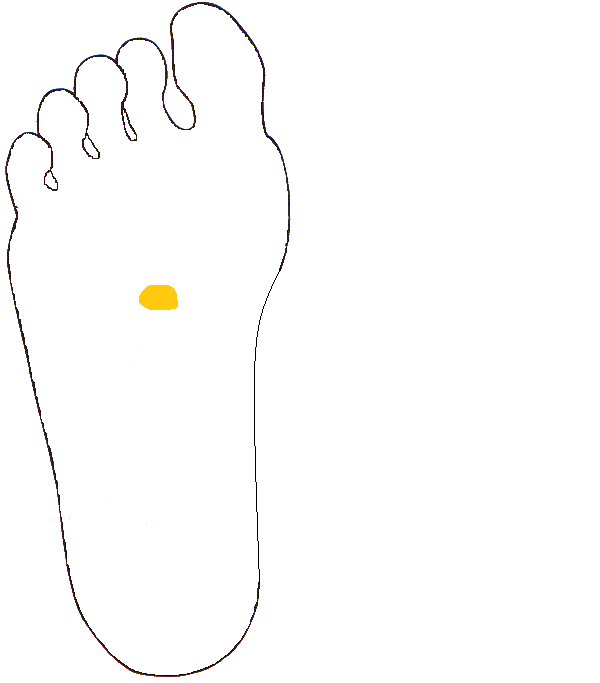 Mellékvese. Jobb talp