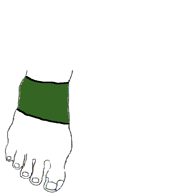 Hasfal. Jobb lábfej