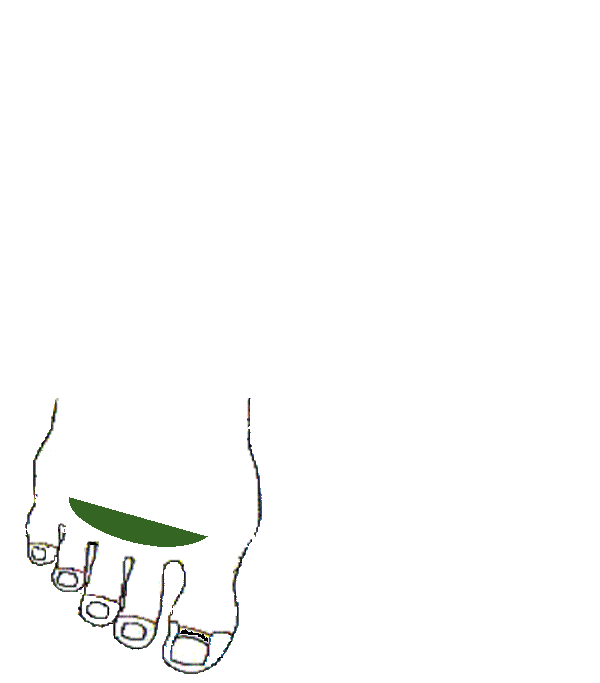 Vállöv. Jobb lábfej