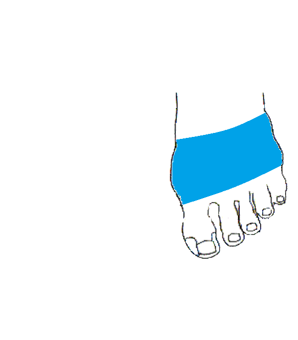 Mellkas bordák. Bal lábfej