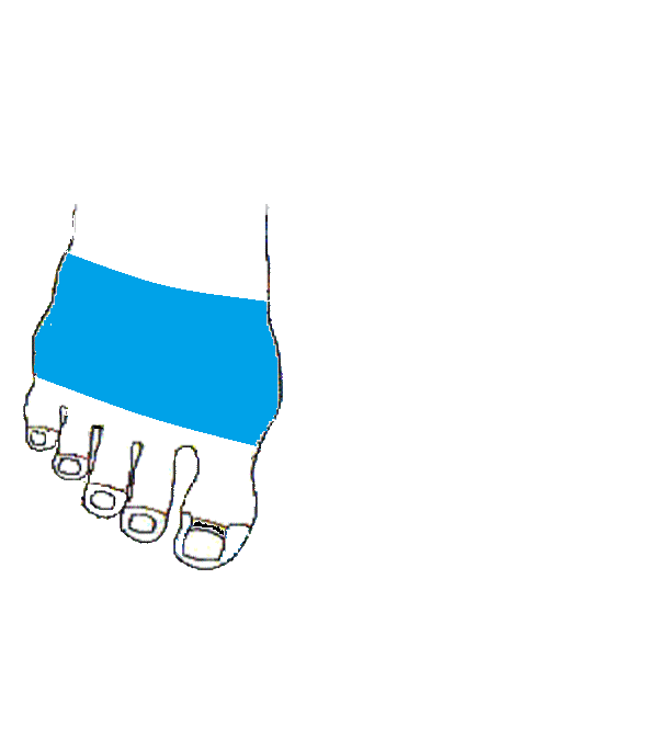 Mellkas bordák. Jobb lábfej