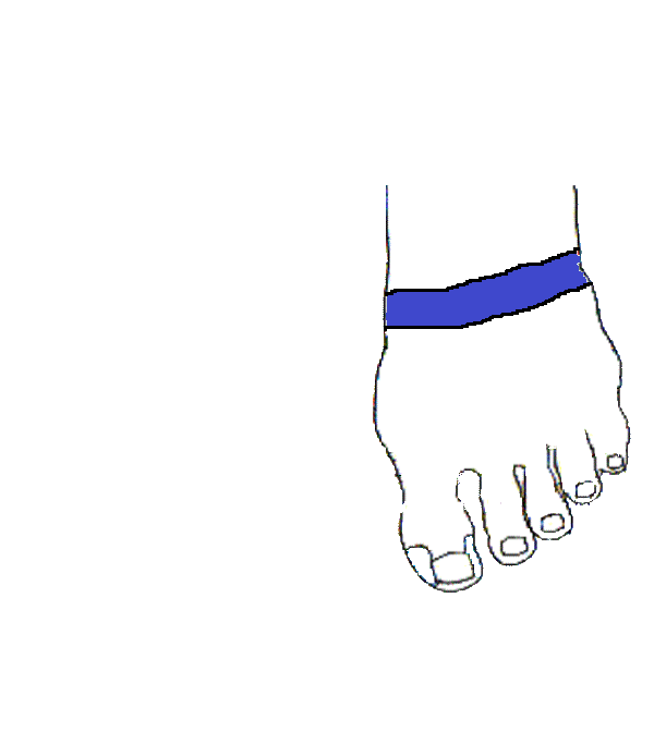 Rekeszizom. Bal lábfej