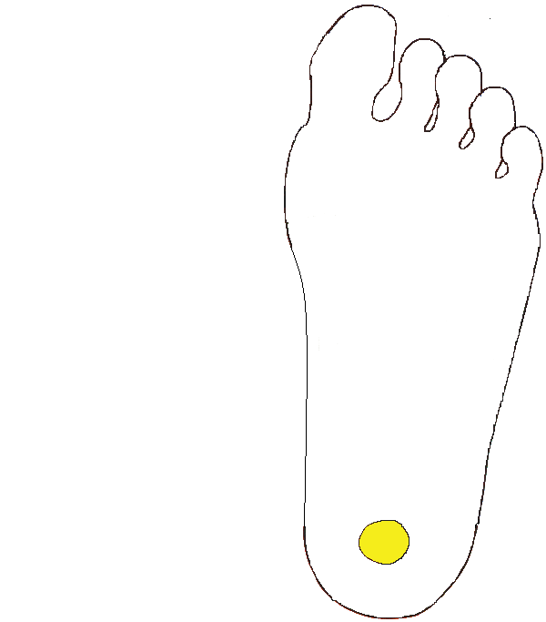 Ivarmirigyek kiegészítő zóna. Bal talp