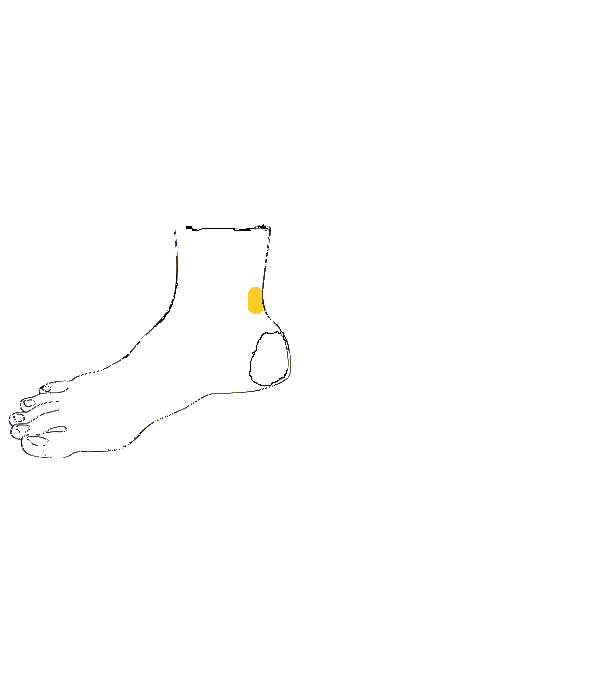 Lágyék. Jobb belső